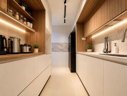 Blk 107B Alkaff Oasis (Toa Payoh), HDB 4 Rooms #583699311